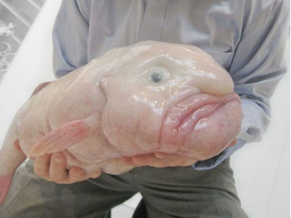 அடர்த்தியானது!