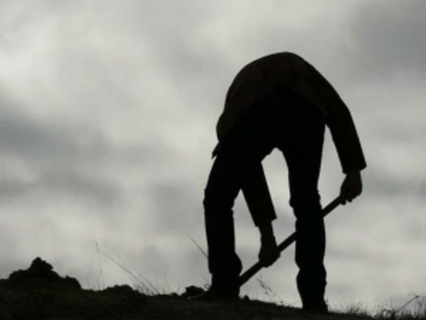 வேலையில் திருட்டு :