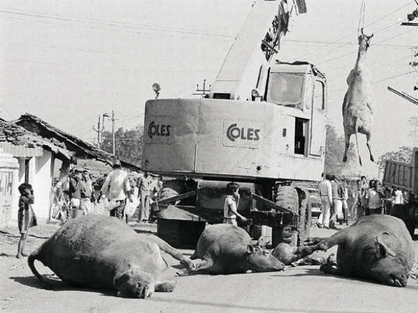 மூன்று கலன்கள் : மூன்று கலன்கள் :