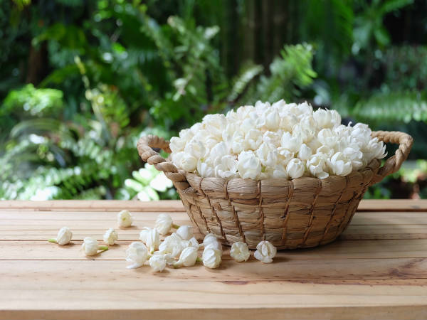 எல்லா தேவிகளுக்கும் உகந்த மலர்கள் எல்லா தேவிகளுக்கும் உகந்த மலர்கள்