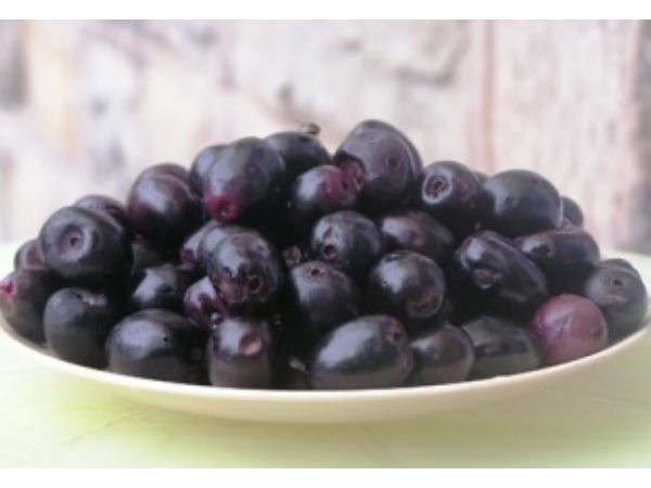 12. நாவல் பழம்