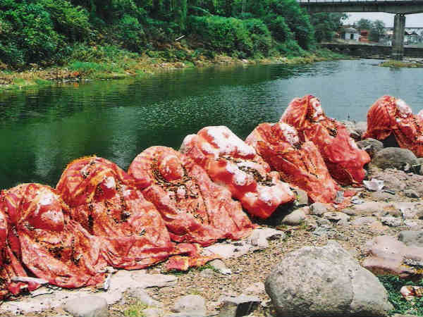 சதி மாதா : சதி மாதா :