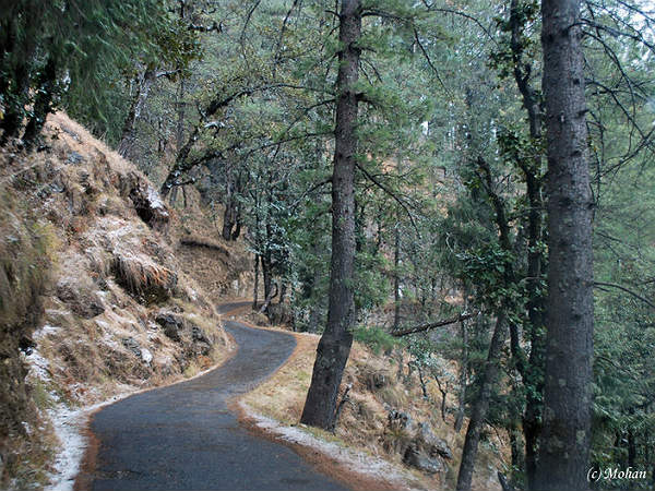 காணப்படும் இடங்கள்!!