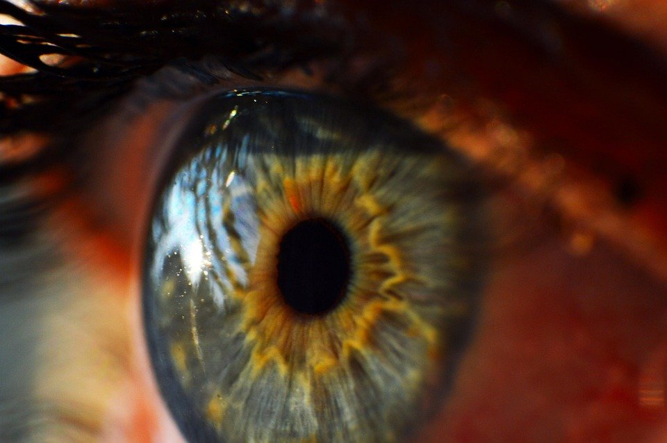 கருவிழி - 1,02,322