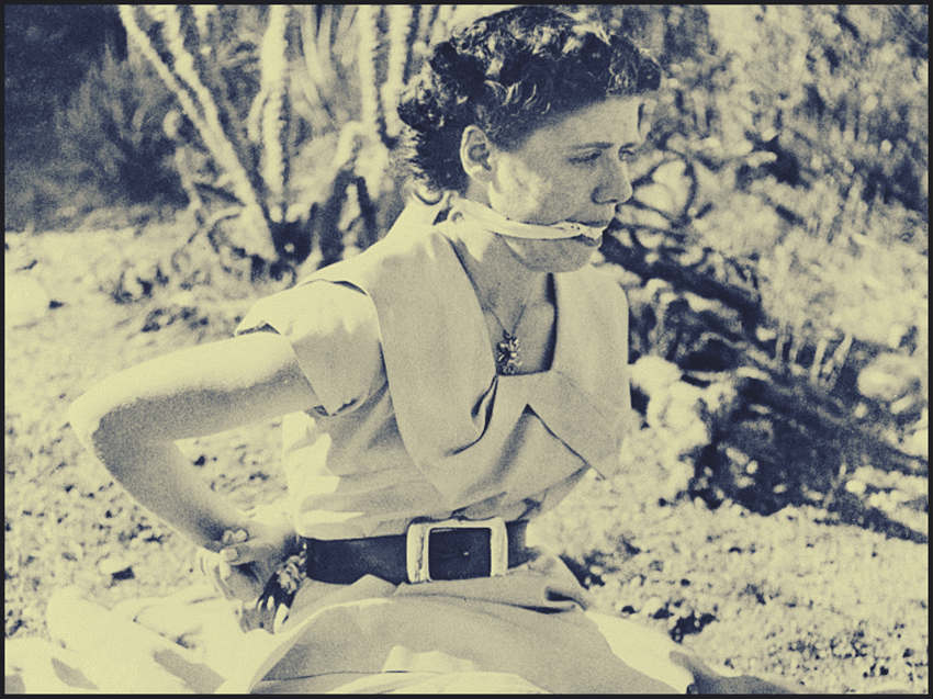 ஷெர்லி ஆன் பிரிட்ஜ்போர்ட் ஷெர்லி ஆன் பிரிட்ஜ்போர்ட்