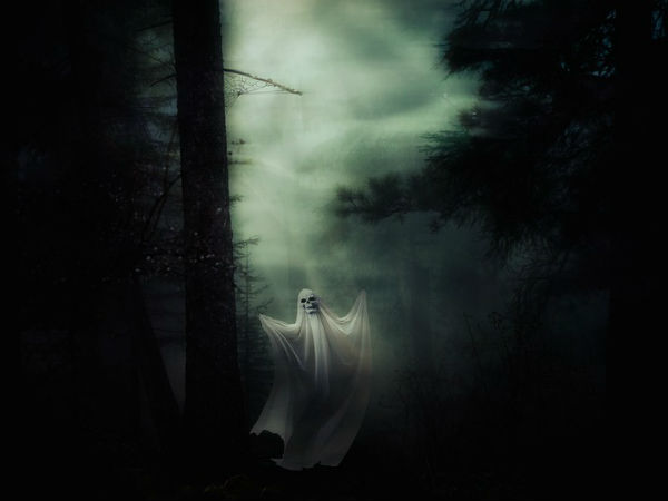 12 ஆண்டுகளுக்கு முன்...