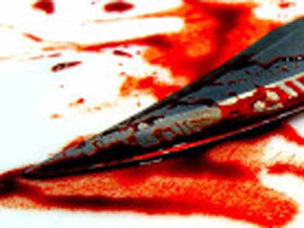 ஹைடி: ஹைடி: