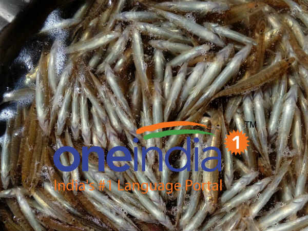 சத்துக்கள்