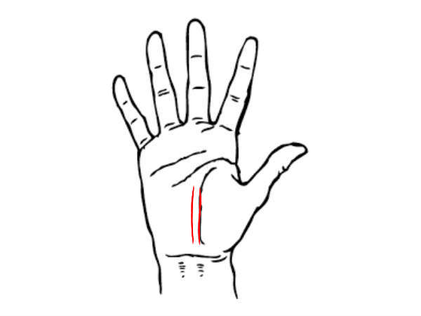 2 விதி ரேகைகள்