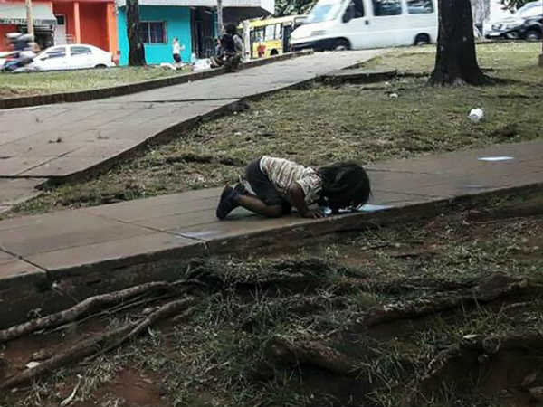  புகைப்படம் : 