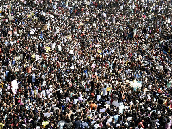 ஜல்லிக்கட்டு!