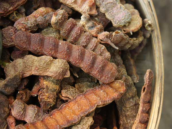 சீகைக்காய்