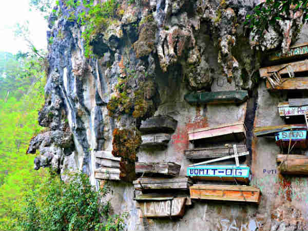 தொங்கும் பிணங்கள் : 