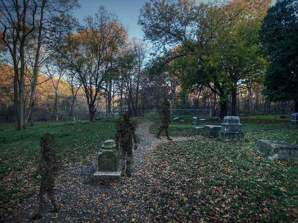 பேச்சிலர் க்ரோவ் : 