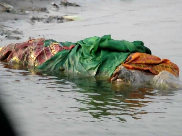 கங்கை நதி : 