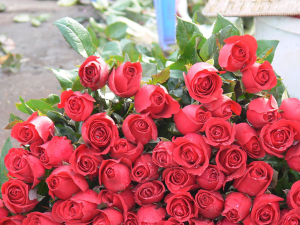 பூக்கள்