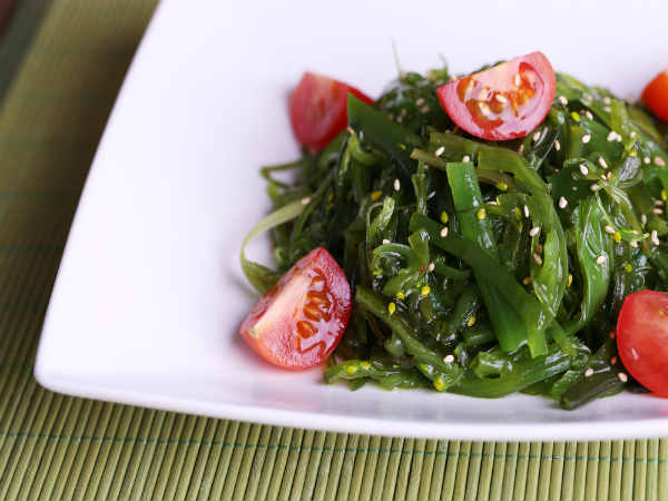 கடற்பாசி