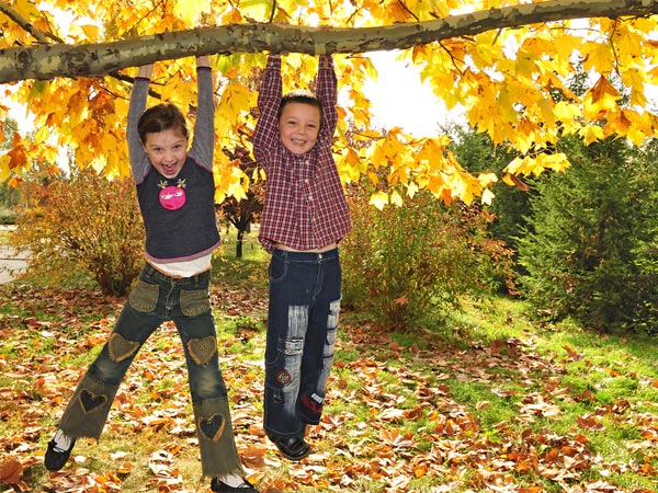 உடற்பயிற்சிகள்