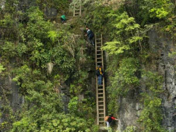 ஏணியில் ஏறினாள் தான் முன்னேற்றம் : 