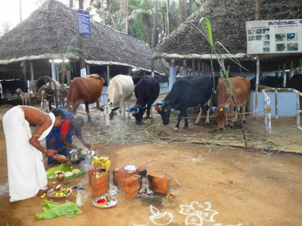 கோவிலில் : 