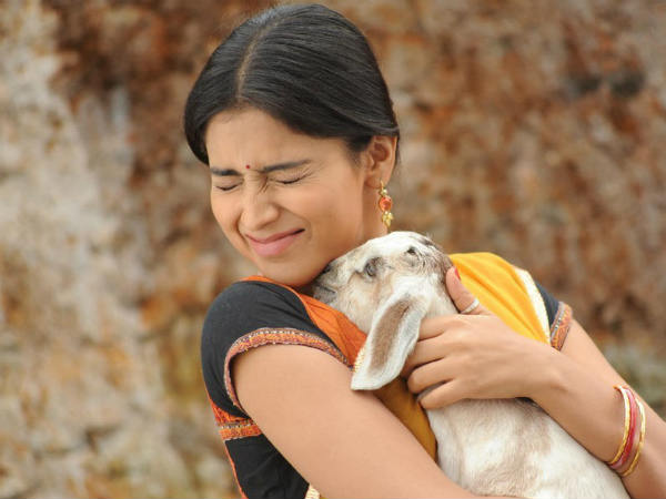 சுபாவிடம்.... : 