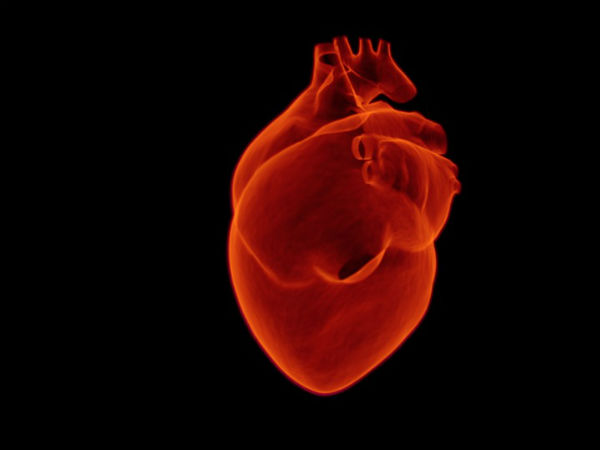 கொழுப்பு : 