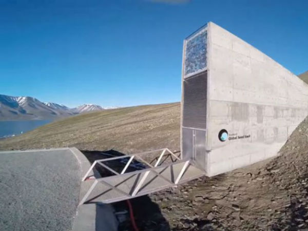 விதை வங்கி : 