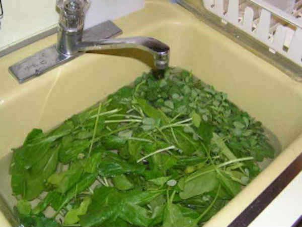 11. மணத்தக்காளிக் கீரை: