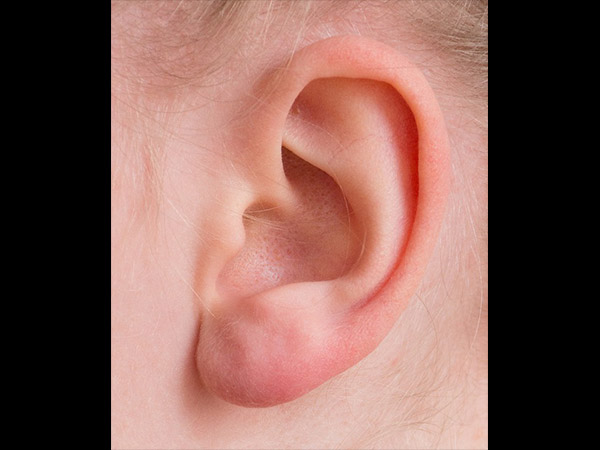 சுத்தம் செய்யவும்