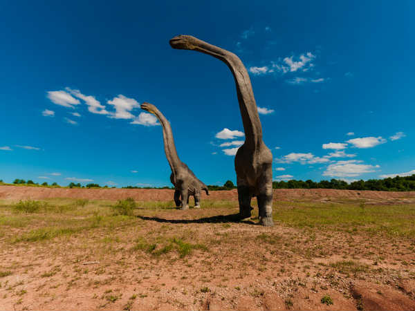 உயர்ந்த டைனோசர்!