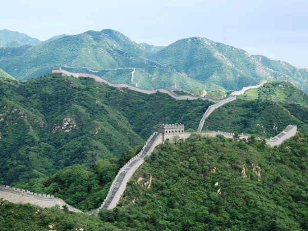 மனித எலும்பு கூடுகள்...