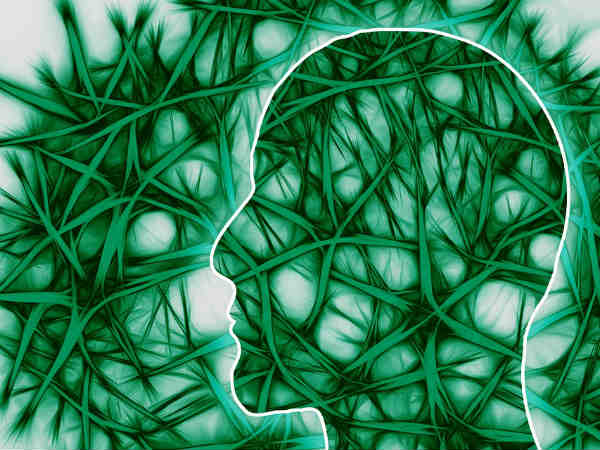 மெட்டபாலிசம் : 