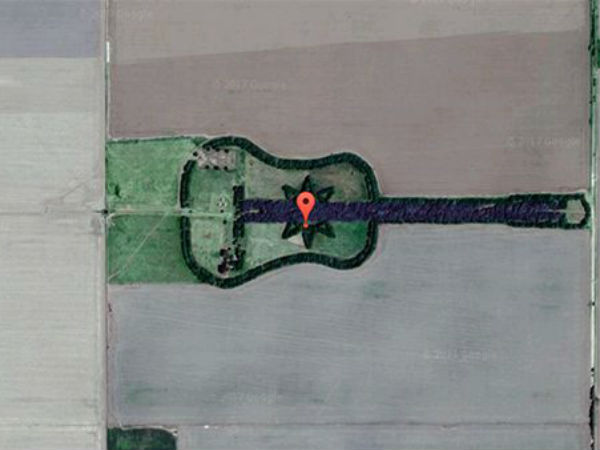 கிட்டார் காடு!