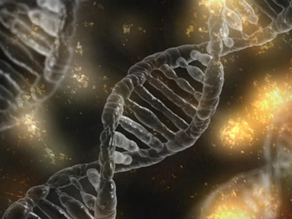 ஜெனிட்டிக் : 