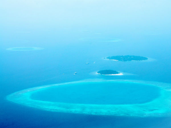 மீன் கழிவுகள்!