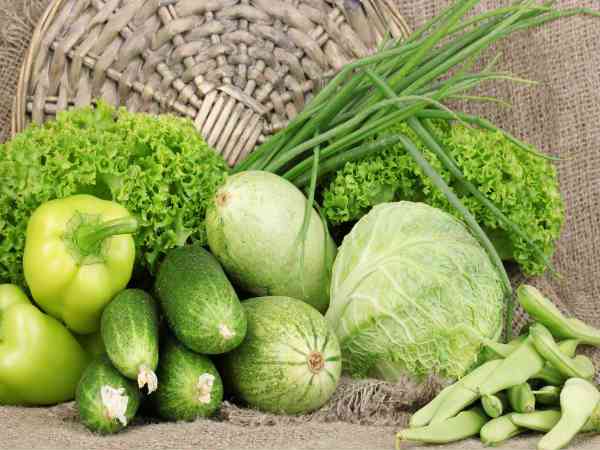 பச்சை காய்கறிகள் பச்சை காய்கறிகள்