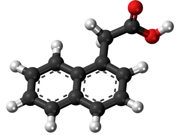 ஹார்மோன் : 