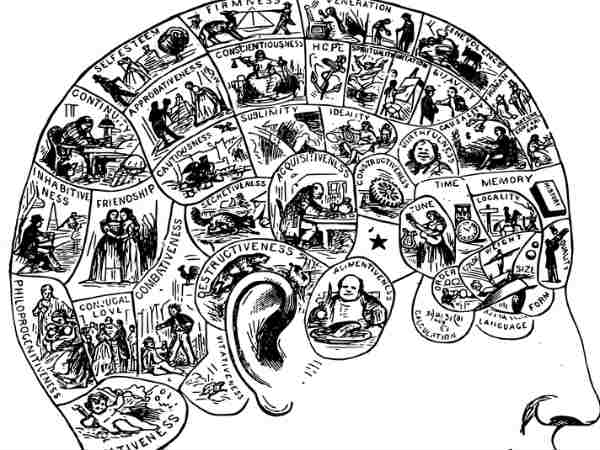 மூளை செயல்பாடுகள் : 