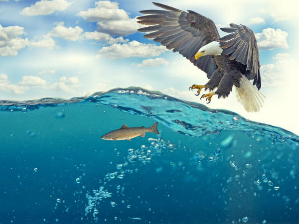 87 இலட்சம்!