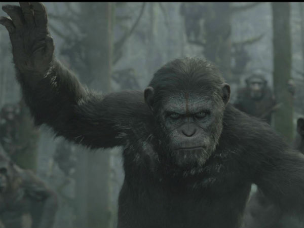 மனித குரங்குகள்!