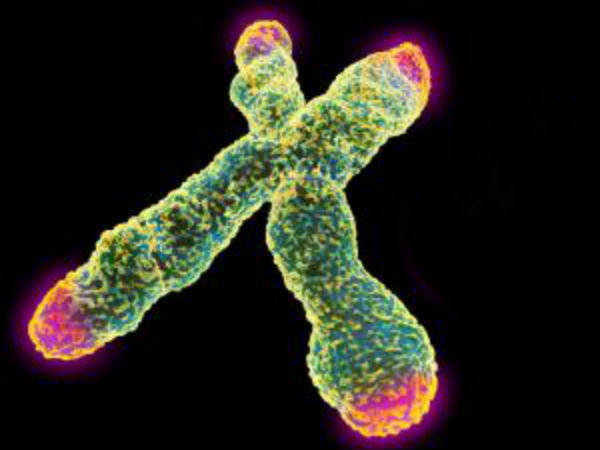 நரக வேதனை!