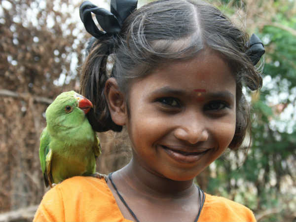 ஐந்து வயதிலிருந்து : 