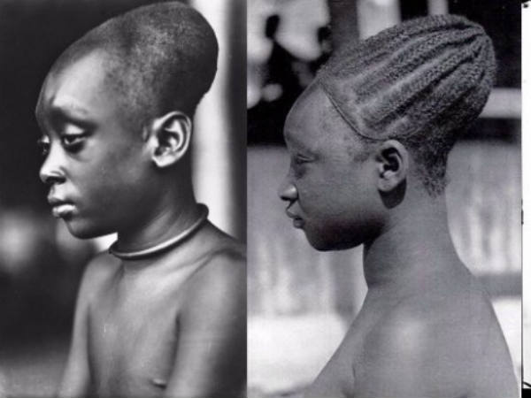  கூம்புத்தலைகள் : 