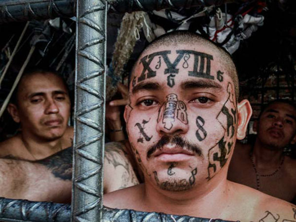 எம்.எஸ். - 13