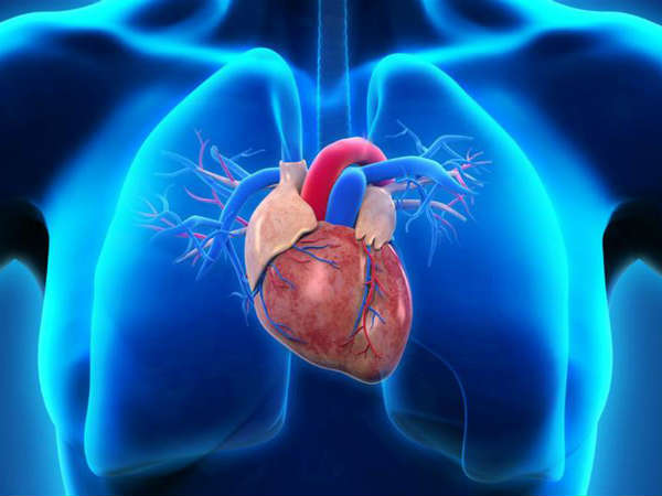 இதய ஆரோக்கியம்