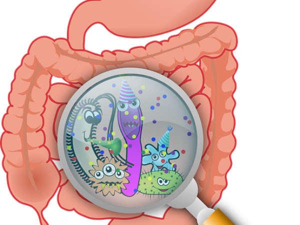  செரிமானக் கோளாறுகள் : 