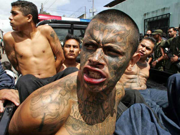 ஜங்கி பங்கி கிட்ஸ்