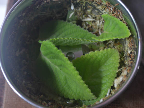 மார்புச் சளி : மார்புச் சளி :