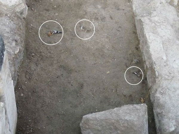 ஆவணங்கள்!