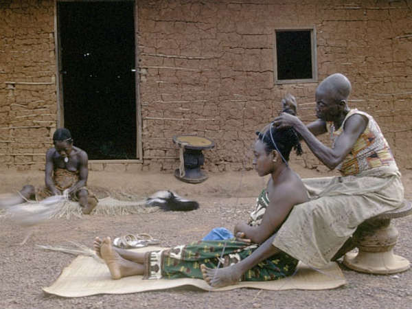 எலும்பு : 